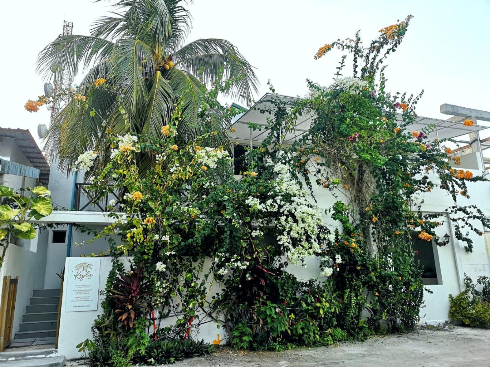 Keyla Inn Thulusdhoo Exteriör bild